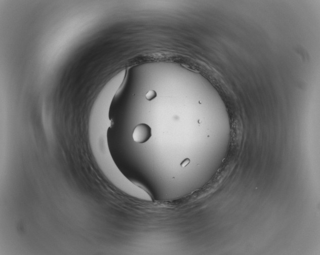 X0000114510762200911091130