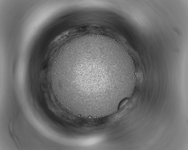 X0000114510765200911091130