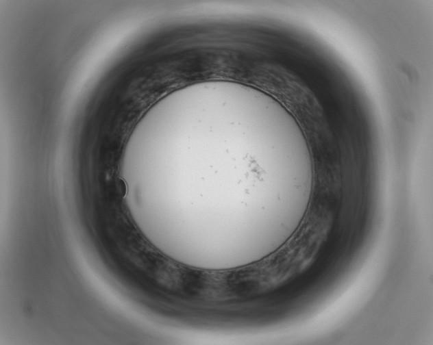 X0000114510766200911091130