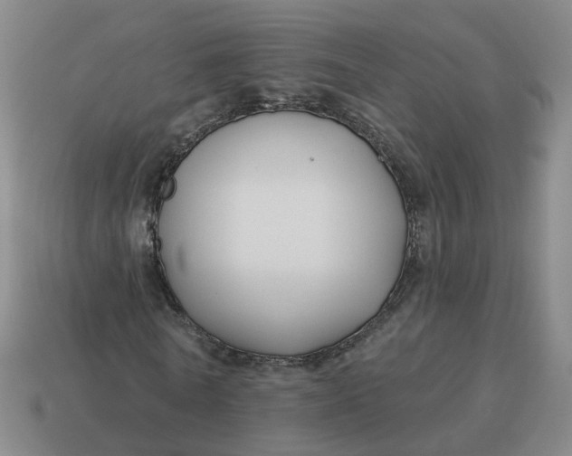 X0000114510770200911091129