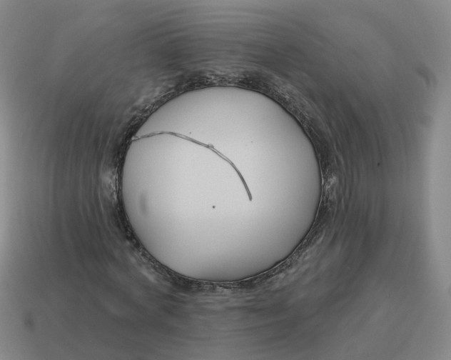 X0000114510772200911091129