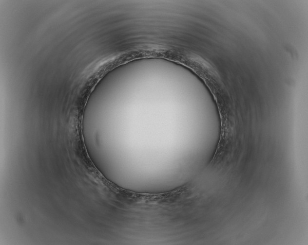 X0000114510773200911091129