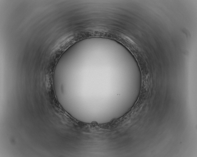 X0000114510774200911091129