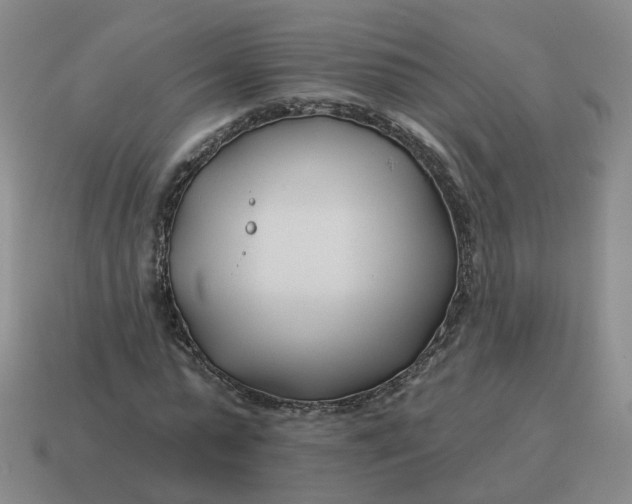 X0000114510775200911091129