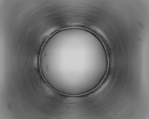 X0000114510777200911091129