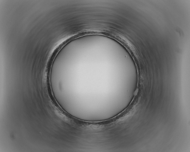 X0000114510779200911091129