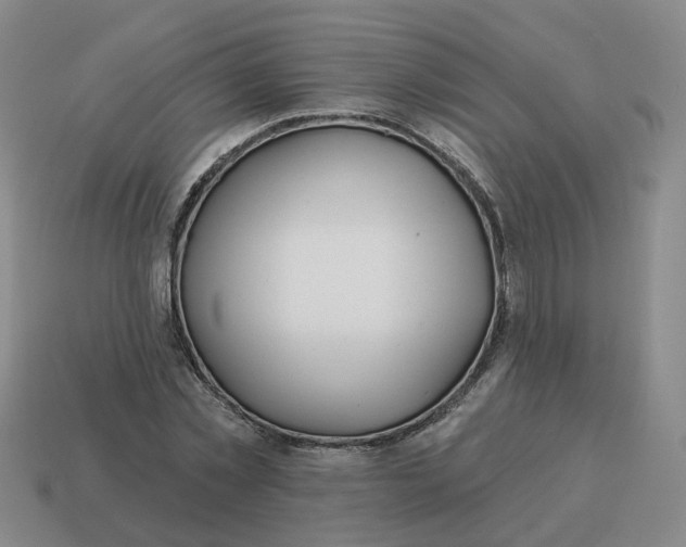 X0000114510781200911091129