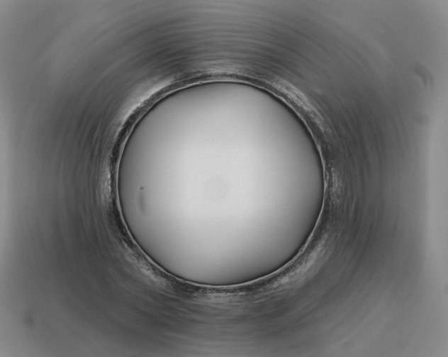 X0000114510782200911091129