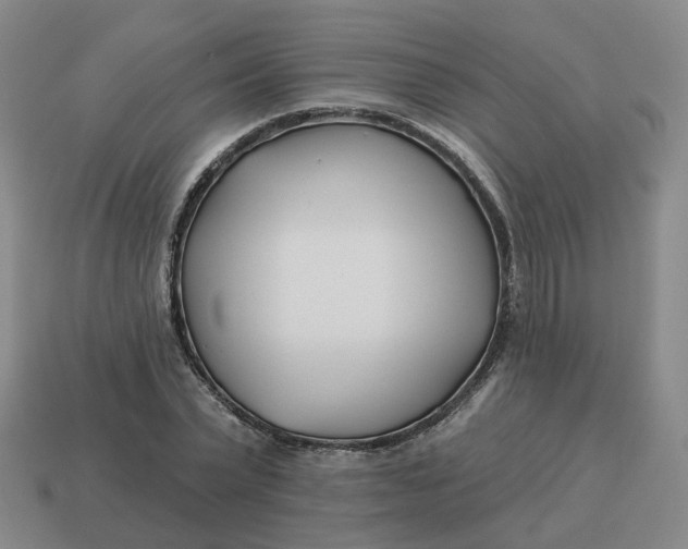 X0000114510783200911091129