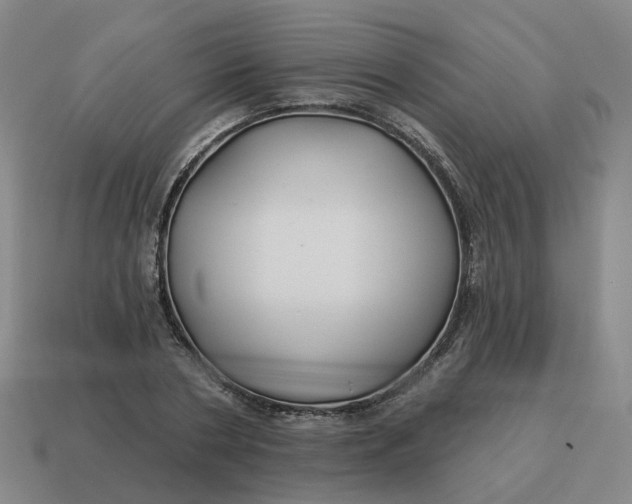 X0000114510786200911091129