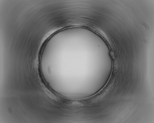 X0000114510787200911091129