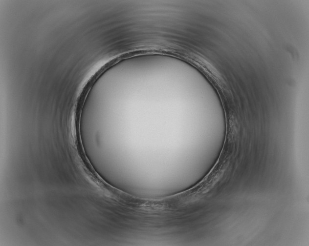 X0000114510788200911091129