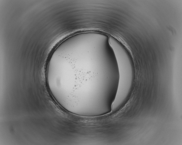 X0000114510789200911091129