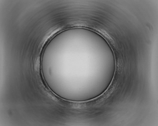 X0000114510790200911091129