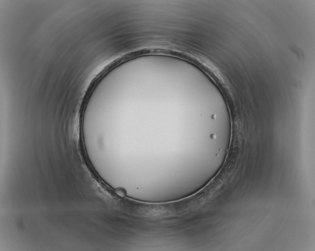 X0000114510791200911091129