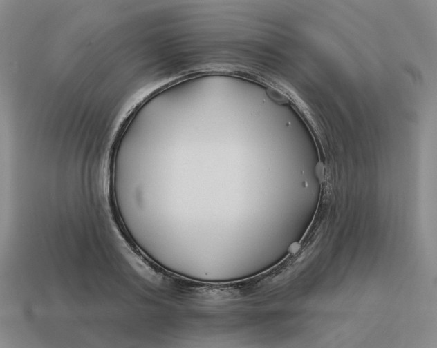 X0000114510795200911091129