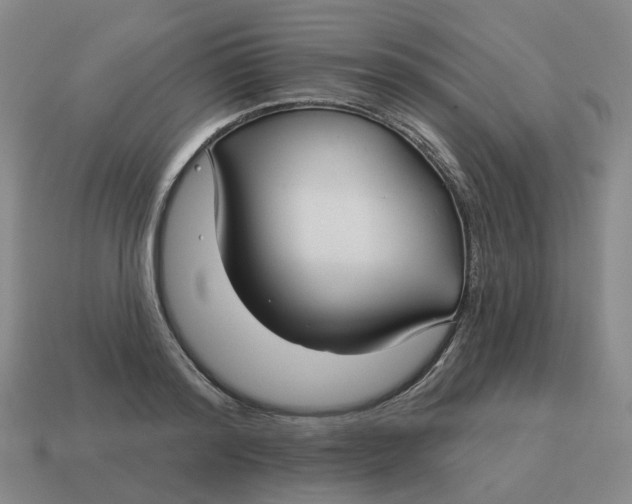 X0000114510796200911091129