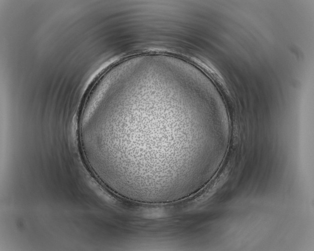 X0000114510798200911091129