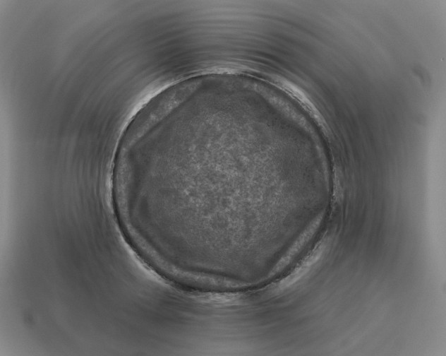 X0000114510802200911091129