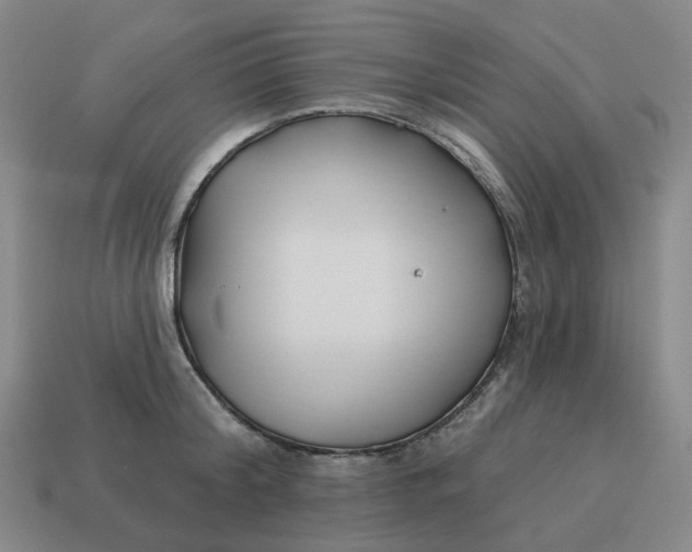 X0000114510804200911091129