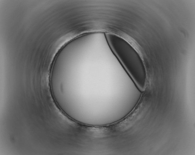 X0000114510805200911091129