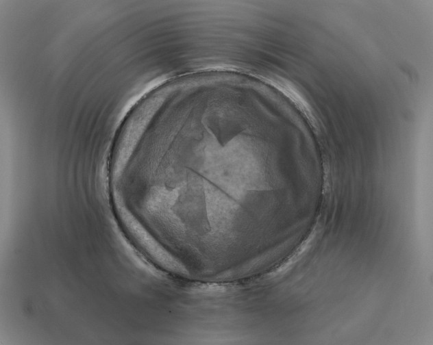 X0000114510806200911091129