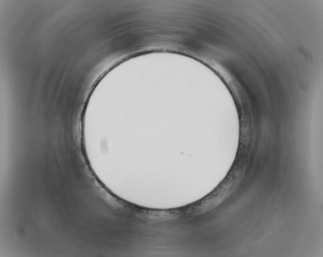 X0000114510807200911091128