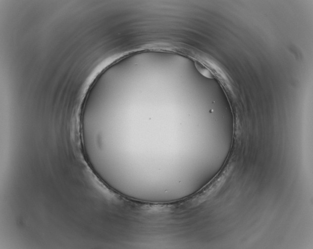 X0000114510808200911091128