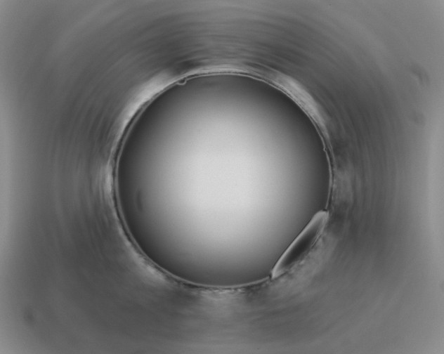 X0000114510813200911091128