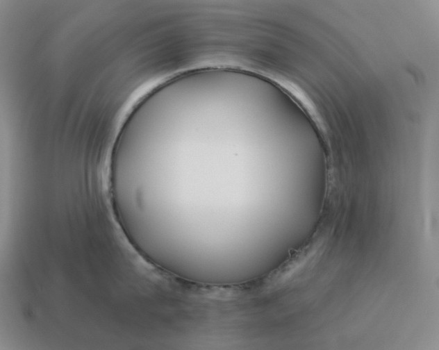 X0000114510815200911091128