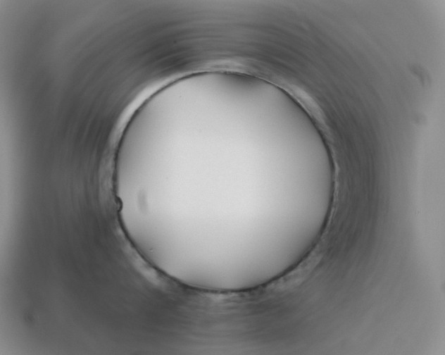 X0000114510816200911091128