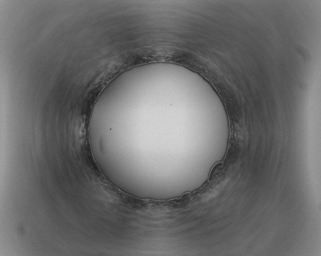 X0000114510818200911091128