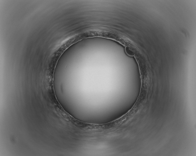 X0000114510822200911091128