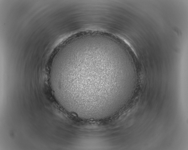 X0000114510823200911091128