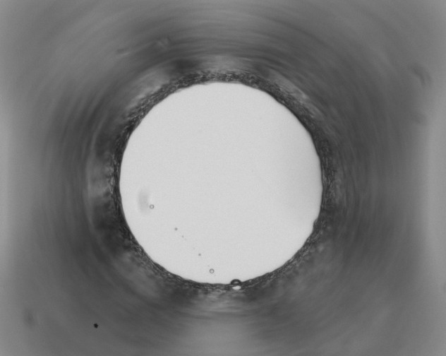 X0000114510824200911091128