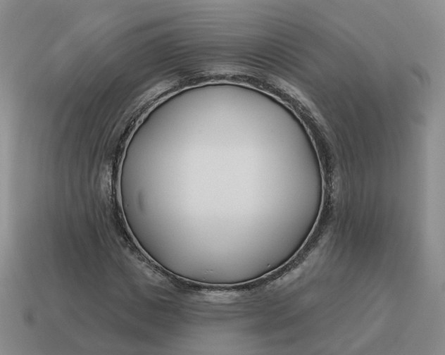 X0000114510825200911091128