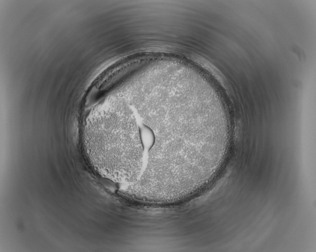 X0000114510829200911091128