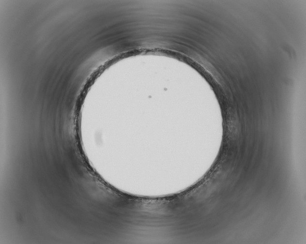 X0000114510832200911091128