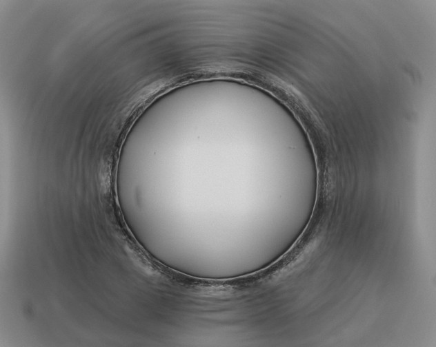 X0000114510833200911091128