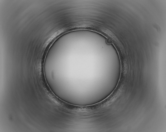 X0000114510834200911091128