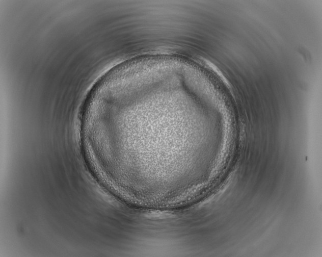 X0000114510835200911091128