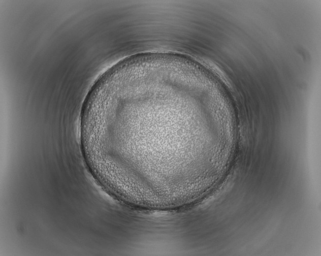 X0000114510839200911091128