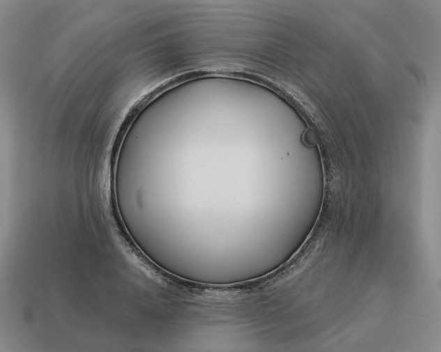 X0000114510840200911091128