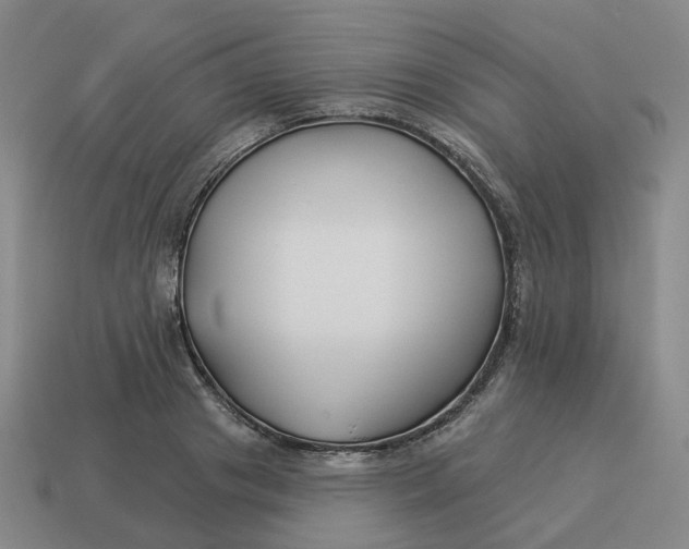 X0000114510841200911091128