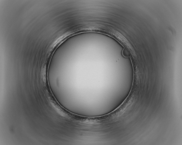 X0000114510842200911091128