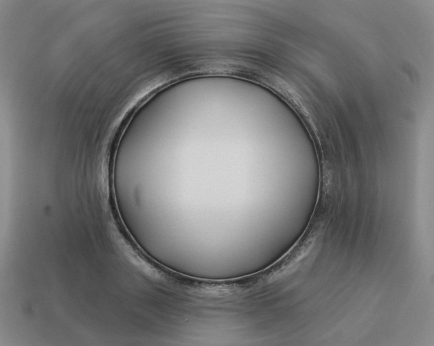 X0000114510843200911091128