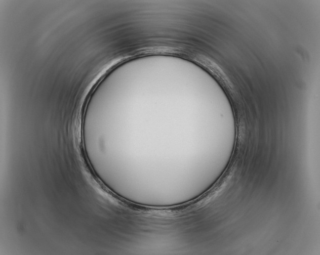 X0000114510844200911091128