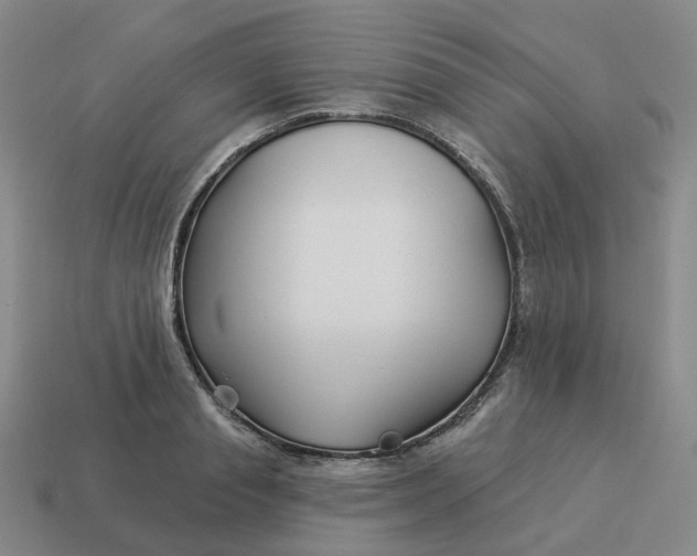 X0000114510845200911091128