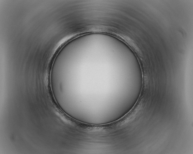 X0000114510846200911091128