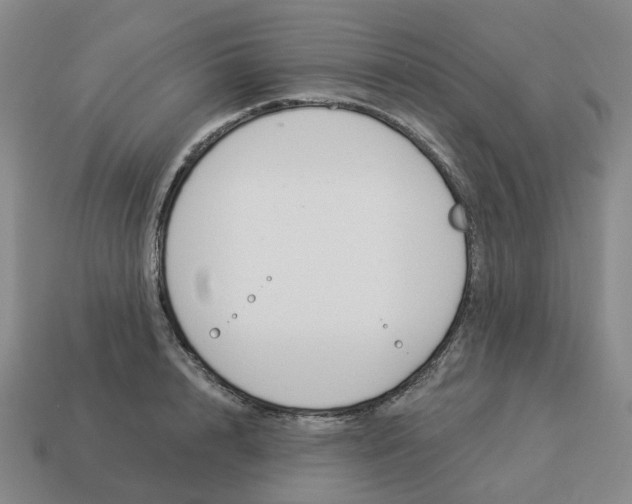 X0000114510848200911091128